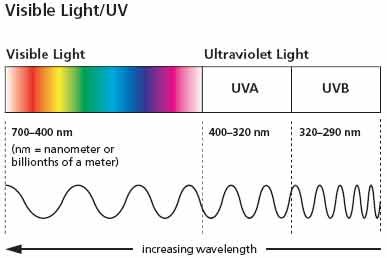 visible_light_and_uv_wavelengths_diagram